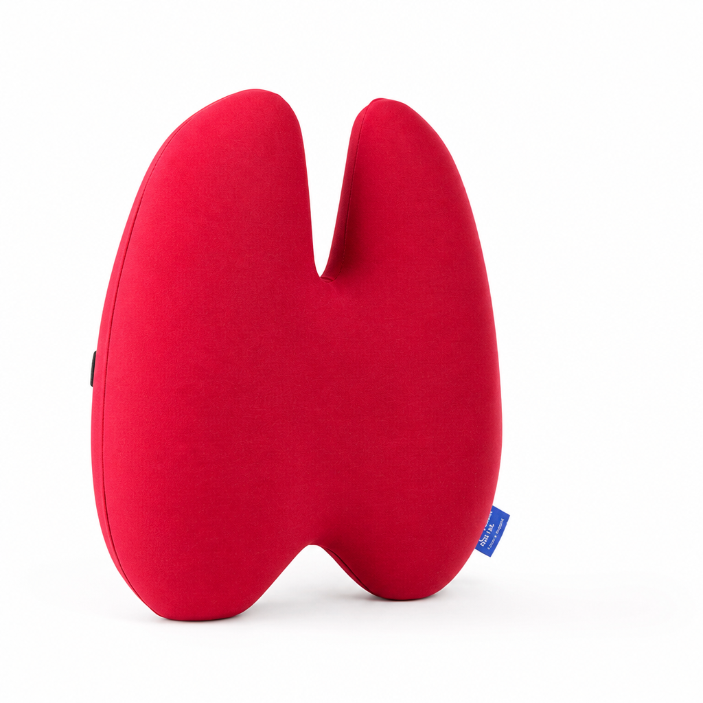 Lumbar Support Pillow Contoured Ergonomic Memory Foam & Strap